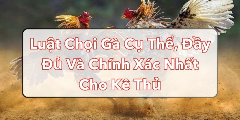 Luật Chọi Gà