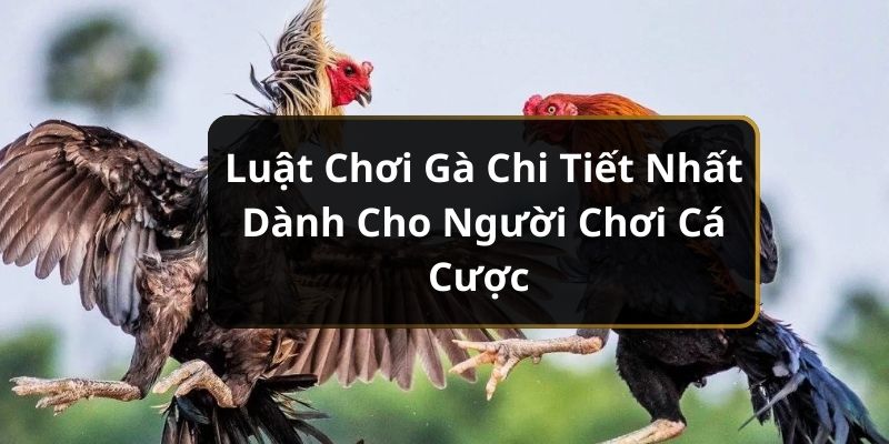 Luật Chơi Gà