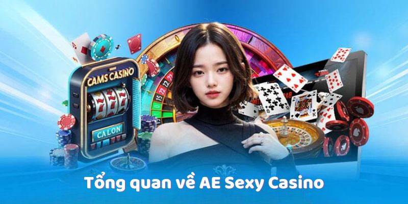 Tổng quan về AE Sexy Casino